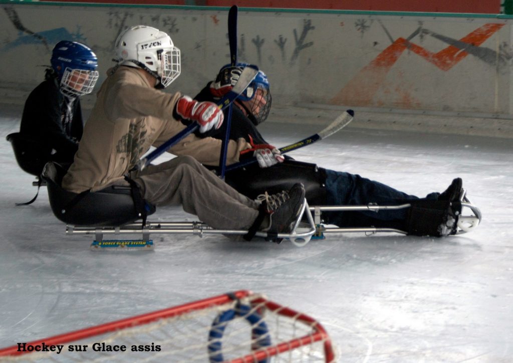 Hockey luge